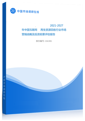 2021年中国互联网 再生资源回收行业市场营销战略及投资前景评估报告